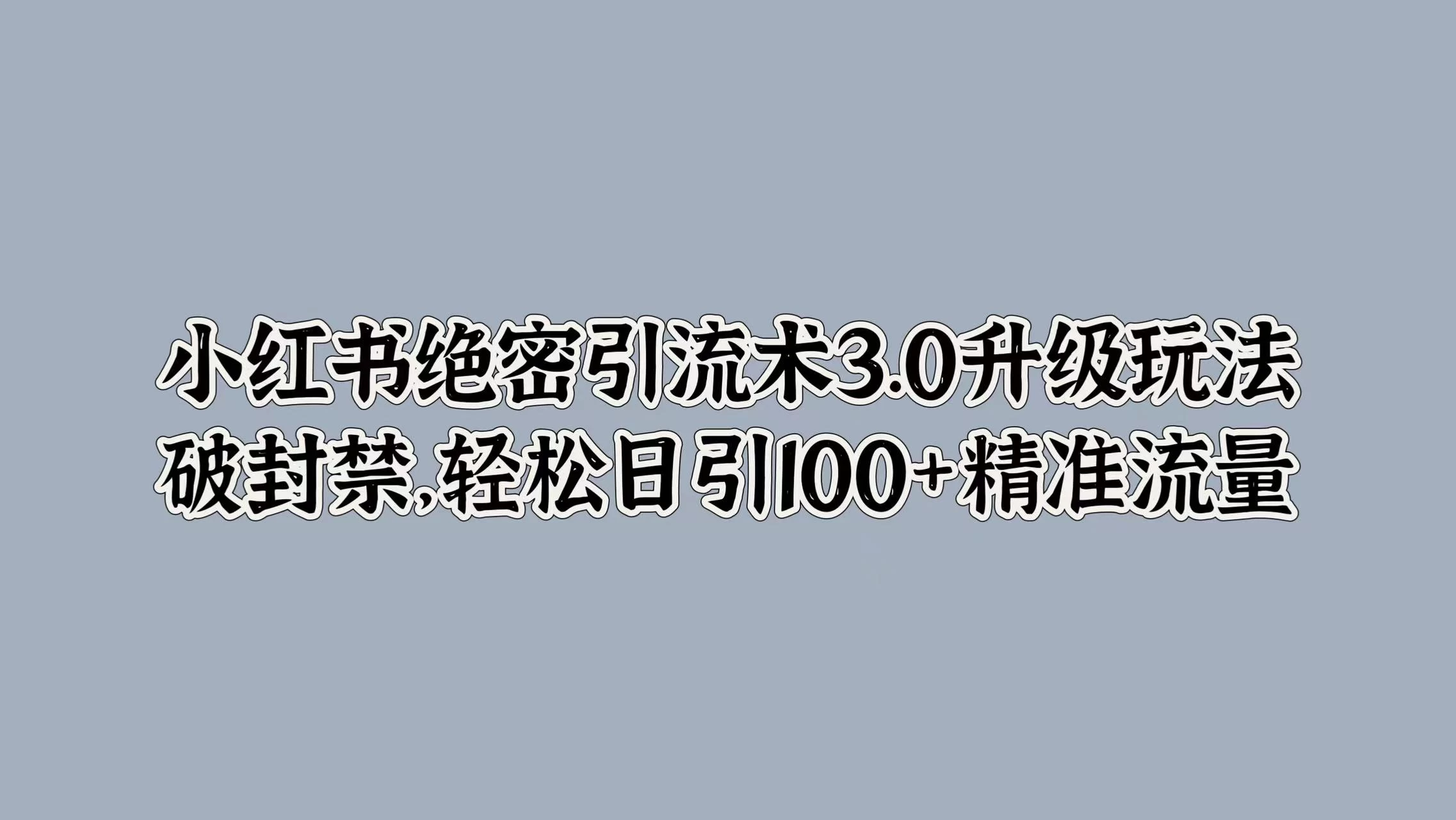 小红书绝密引流术3.0升级玩法，破封禁，轻松日引100+精准流量 - 项目资源网