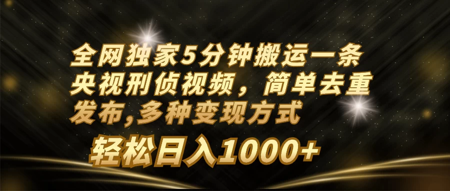 全网独家5分钟搬运一条央视刑侦视频，简单去重发布，多种变现方式，轻松日入1000+ - 项目资源网