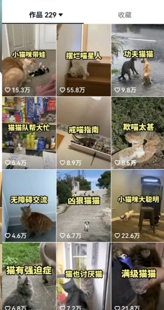 拆解:抖音盘点类中视频变现副业项目 拆解:抖音盘点类中视频变现副业项目