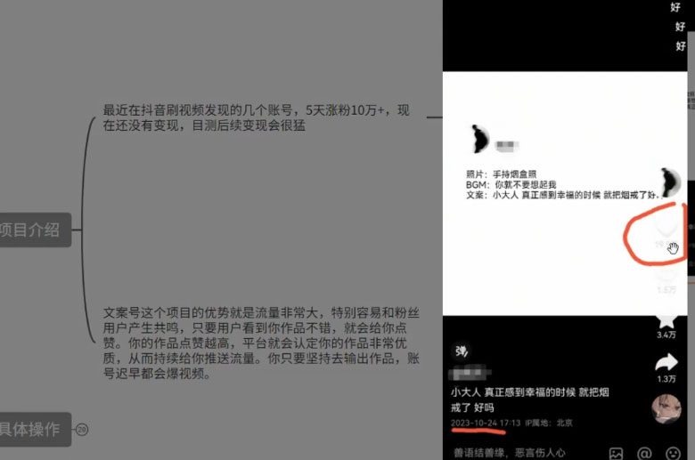 图片[2] - 最新抖音暴力文案号，五天涨粉 10w+，喂饭级拆解教学 - 项目资源网