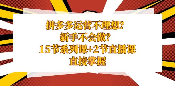 拼多多运营不理想？新手不会做？​15 节系列课+ 2 节直播课，直接掌握 - 项目资源网
