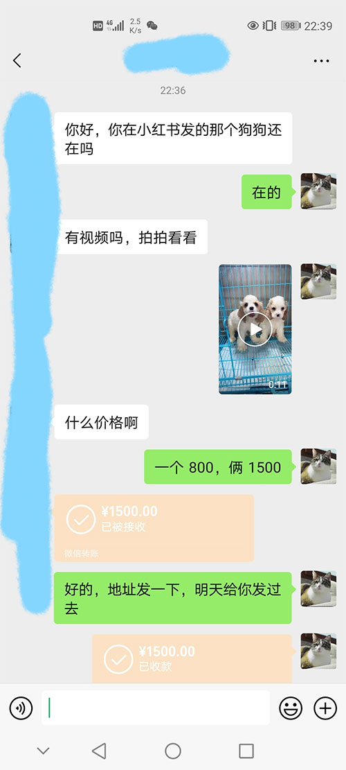 同城萌宠中介项目:用最冷门的玩法冲击最热门的市场