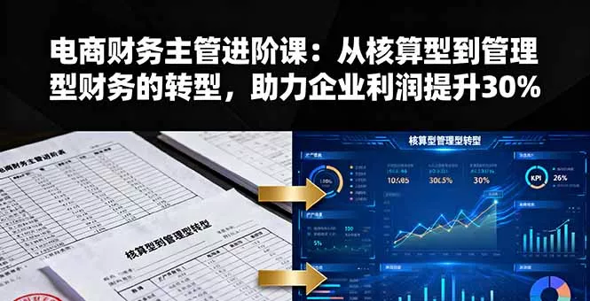 电商财务主管进阶课：从核算型到管理型财务的转型，助力企业利润提升30% - 项目资源网