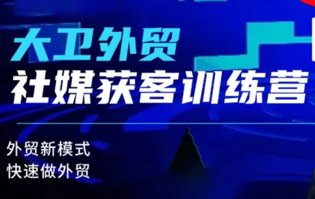 大卫老师·外贸社媒获客独家训练营(更新10月) - 项目资源网
