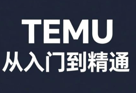 跨境麦冬·TEMU从入门到精通 - 项目资源网