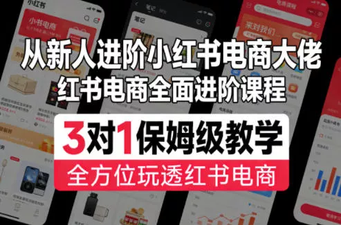 从新人进阶小红书电商大佬，红书电商全面进阶课程，3对1保姆级教学，全方位玩透红书电商 - 项目资源网