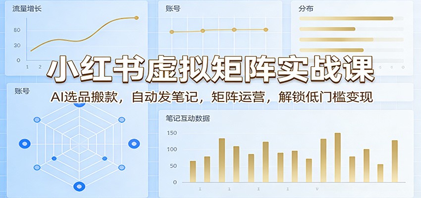 小红书虚拟矩阵实战课：AI选品搬款，自动发笔记，矩阵运营，解锁低门槛变现 - 项目资源网
