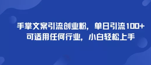 手掌文案引流创业粉，单日引流100+，可适用任何行业，小白轻松上手 - 项目资源网