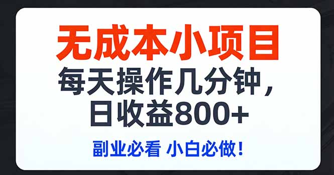 无成本小项目,每天操作几分钟,日收益800+ 副业必看 小白必做！ - 项目资源网