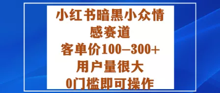 小红书暗黑小众情感赛道，客单价100-300+用户量很大，0门槛即可操作 - 项目资源网