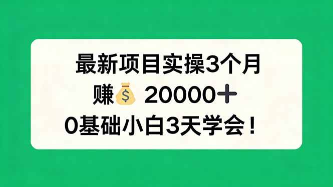 （17856期）最新项目实操3个月，赚钱20000+，0基础小白3天学会！ - 项目资源网