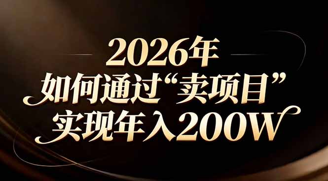 站在2026年的十字路口：一个普通人如何通过卖项目实现年入200万 - 项目资源网