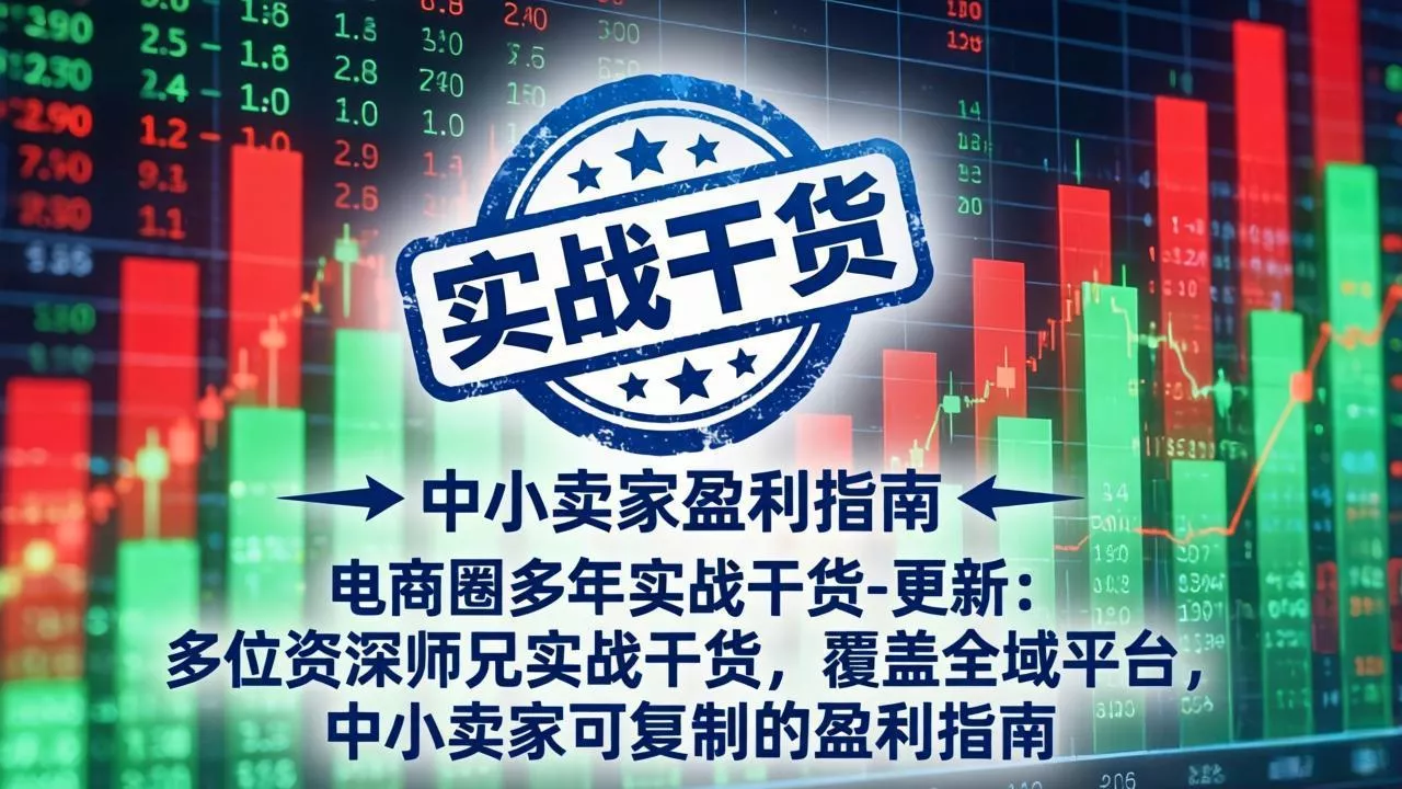 电商圈多年实战干货-更新5月10：多位资深师兄实战干货/覆盖全域平台，中小卖家可复制的盈利指南 - 项目资源网