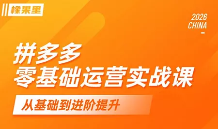 仙道电商·拼多多零基础运营实战课 - 项目资源网