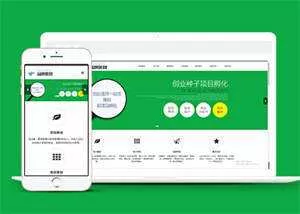简洁品牌策划类网站前端模板下载 - 项目资源网