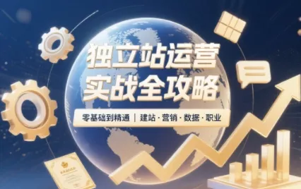 2025独立站运营实战全攻略 - 项目资源网