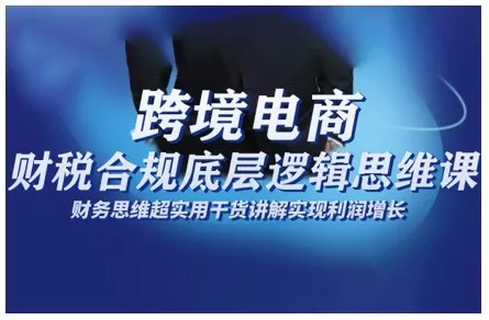 跨境电商财稅合规底层逻辑思维课，财务思维超实用于货讲解实现利润增长 - 项目资源网