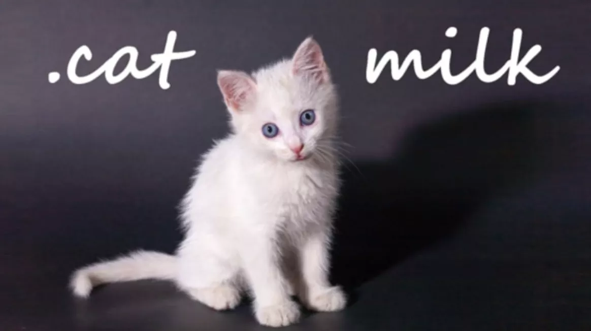 《小奶猫 .cat Milk》Switch英文版NSP下载 - 项目资源网