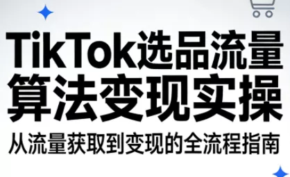 TikTok选品流量算法变现实操 - 项目资源网