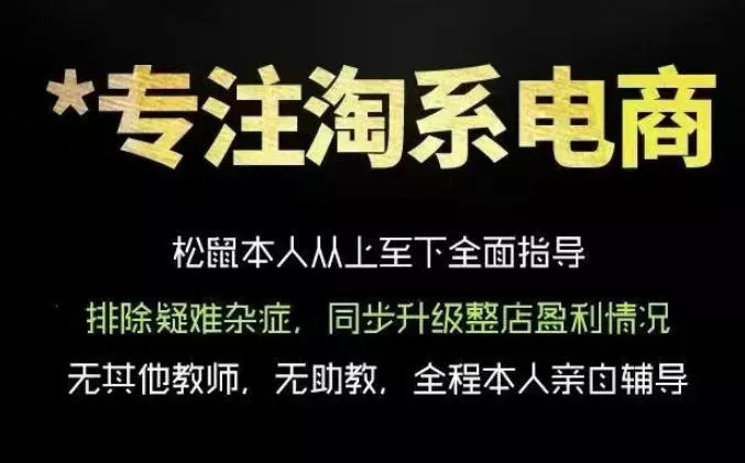松鼠会电商VIP课程，从基础布局到高阶优化，助你掌握淘宝运营逻辑，提升店铺流量与转化 - 项目资源网