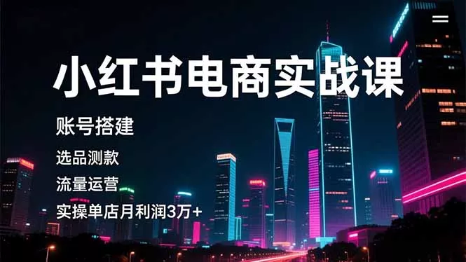 小红书电商实战课，账号搭建，选品测款，流量运营，实操月利润3万+ - 项目资源网