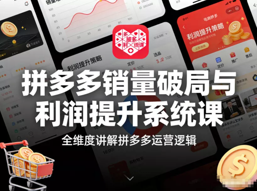 拼多多销量破局与利润提升系统课，全维度讲解拼多多运营逻辑 - 项目资源网