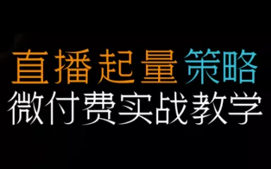 半野老师·直播带货起量与微付费必学课视频号 - 项目资源网