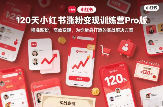 120天小红书涨粉变现训练营Pro版，精准涨粉，高效变现，为你量身打造的实战解决方案 - 项目资源网
