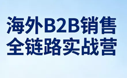 雨哥·海外B2B销售全链路实战营 - 项目资源网