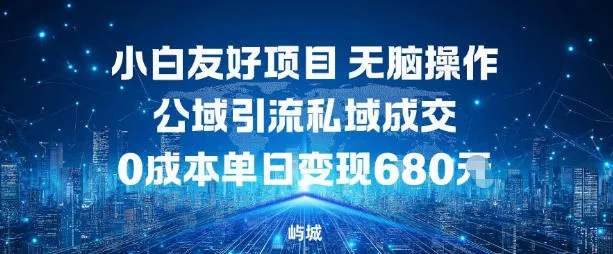 小白友好项目，无脑操作，公域引流私域成交，0成本单日变现680米 - 项目资源网