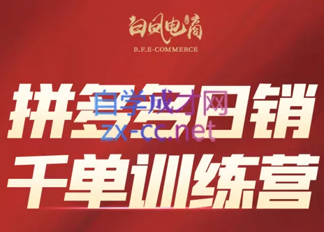 白凤电商·拼多多日销千单训练营(更新2月) - 项目资源网