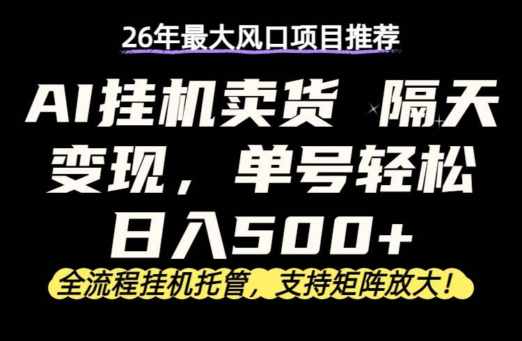 （17933期）26年最新AI挂机卖货，隔天出收益，单账号轻松日入500+ - 项目资源网