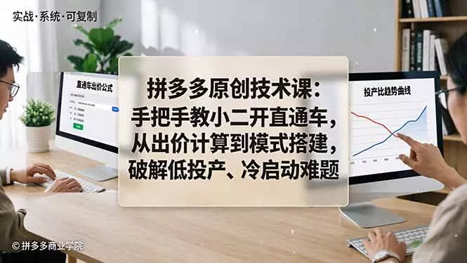 （18159期）拼多多原创技术课：手把手教小二开直通车，从出价计算到模式搭建，破解低投产、冷启动难题 - 项目资源网