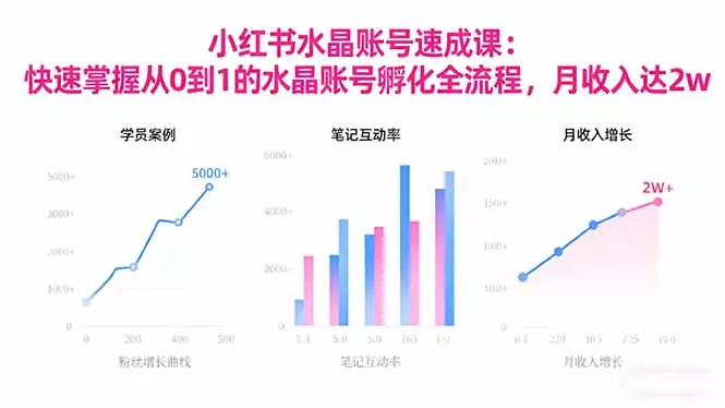 2025小红书水晶账号速成课：快速掌握从0-1水晶账号孵化全流程，月收入达2w - 项目资源网