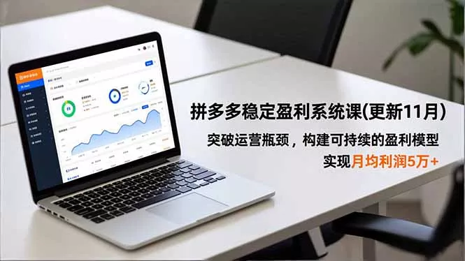 拼多多稳定盈利系统课(更新11月 - 项目资源网