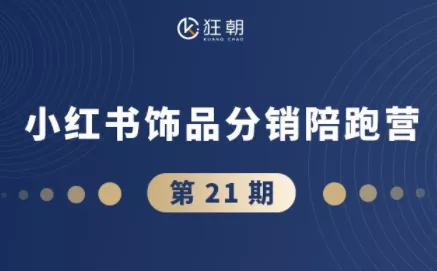 盗坤·抖音小红书视频号短视频带货与直播变现(11-21期)