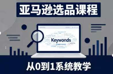 张景老师·亚马逊从0到1选品课程 - 项目资源网