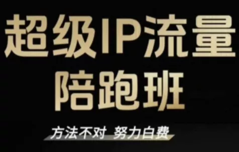 阿昱老师·超级IP流量陪跑班 - 项目资源网