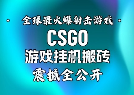 【年底大揭秘】基于全球最火爆的射击CSGO游戏挂G搬砖，日入5张+，震撼公开 - 项目资源网