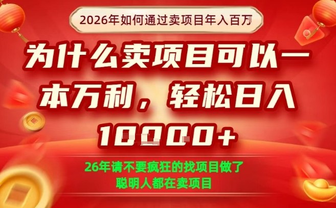 一单净利润1K+，26年想年入100个W，死磕卖项目就够了【揭秘】 - 项目资源网