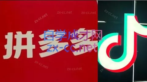 老陶电商·拼多多+抖音小店无货源开店(更新10月) - 项目资源网