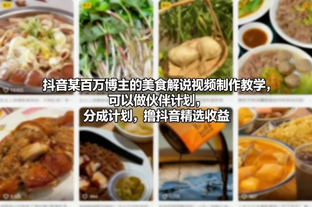 抖音某百万博主的美食解说视频制作教学，可以做伙伴计划，分成计划，撸抖音精选收益(更新) - 项目资源网