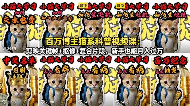 百万博主猫系科普视频课：剪映关键帧+抠像+复合片段，新手也能月入过万 - 项目资源网