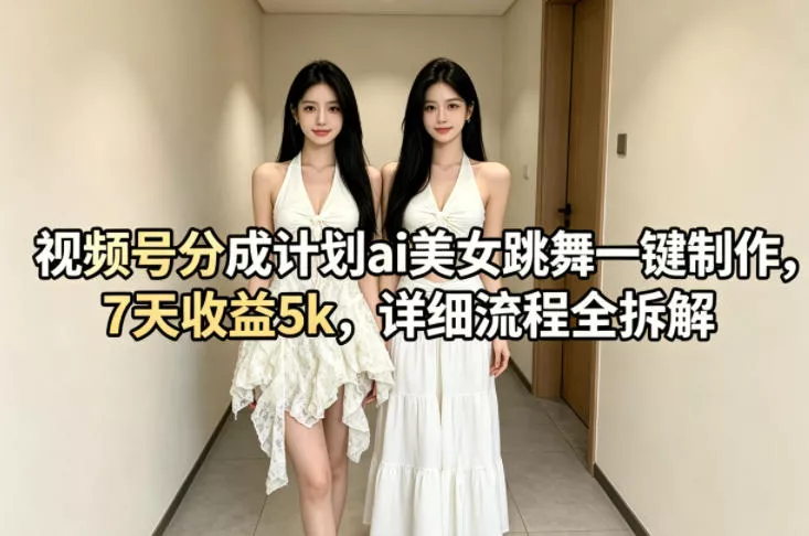 视频号分成计划ai美女跳舞一键制作，7天收益5k，详细流程全拆解 - 项目资源网