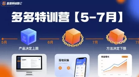 多多特训营，产品决定上限，方法决定下限，各种玩法技巧落地实操(更新) - 项目资源网