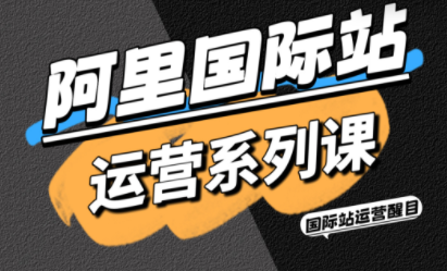 醒目老师·阿里国际站运营系列课(更新3月) - 项目资源网