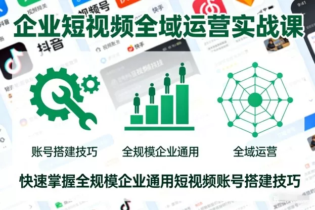 企业短视频全域运营实战课，快速掌握全规模企业通用短视频账号搭建技巧 - 项目资源网