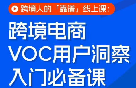 跨境电商VOC用户洞察入门必备课 - 项目资源网