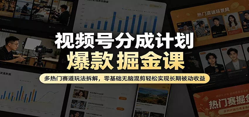 视频号分成计划爆款掘金课：多热门赛道玩法拆解，零基础无脑混剪轻松实现长期被动收益 - 项目资源网