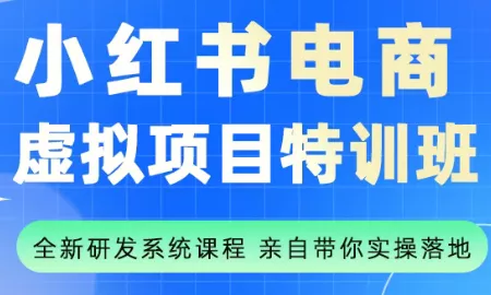 陆明明·小红书虚拟项目特训班(更新9月) - 项目资源网